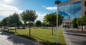 Gimbernat ofereix trobades virtuals per descobrir els seus graus universitaris i cicles formatius